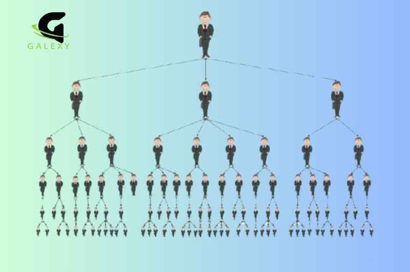 Custom level plan development structure showing multiple user levels for MLM system by Galexy IT Solutions Bareilly