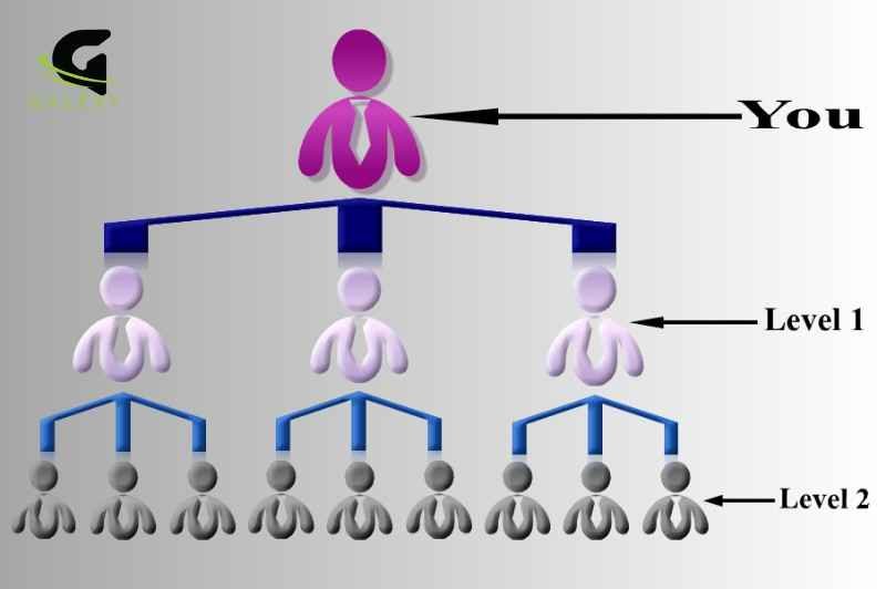 Matrix plan software solution showing fixed-width multi-level user structure for MLM business by Galexy IT Solutions Bareilly