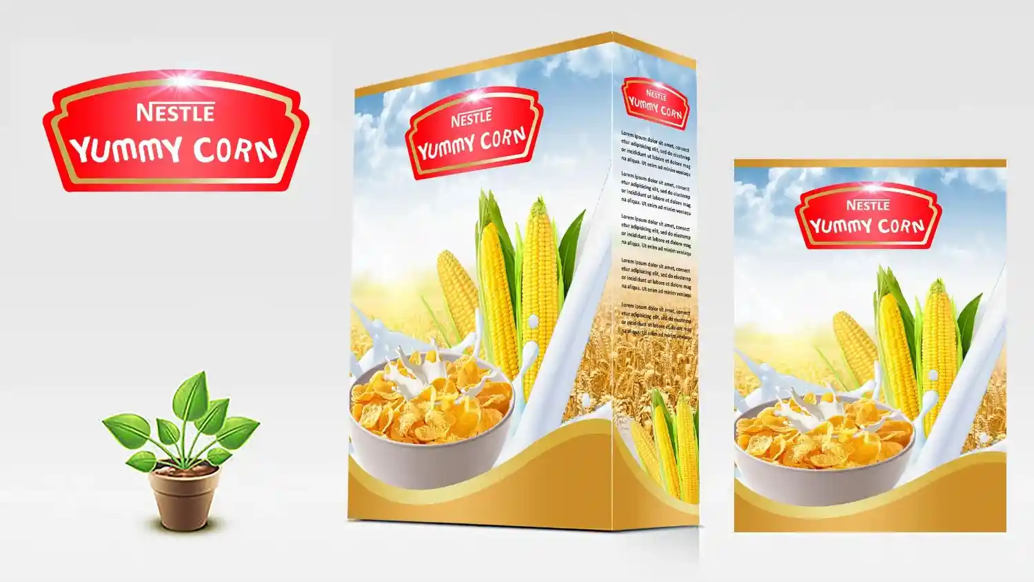 Packaging Design Company